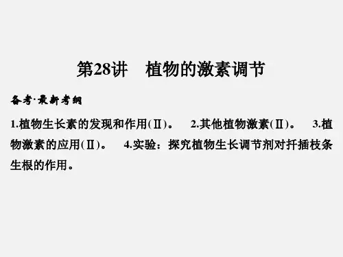 高考生物 一轮复习 生命活动的调节 第28讲 植物的激素调节 新人教版必修3