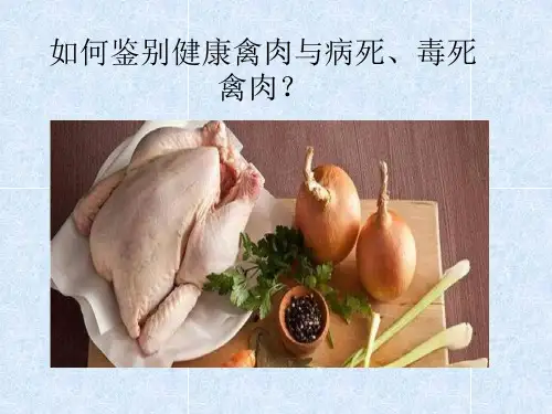 如何鉴别健康禽肉与病死、毒死禽肉？