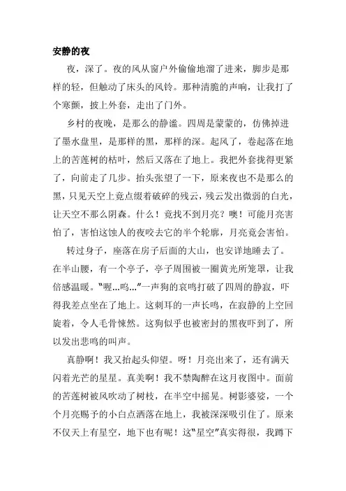 安静的夜晚作文600字