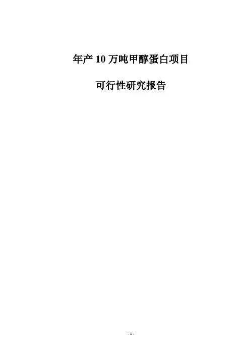 年产10万吨甲醇蛋白项目可行性研究报告