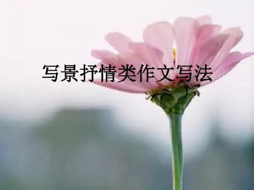 【初中作文】初中作文指导：写景抒情类作文写法ppt