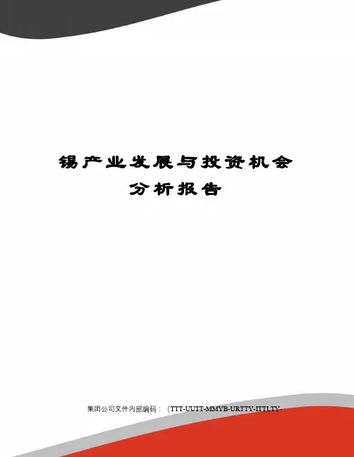 锡产业发展与投资机会分析报告