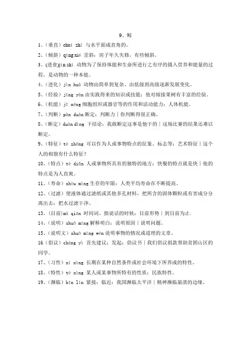 词语解释9鲸