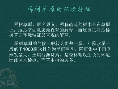稀树草原环境特征
