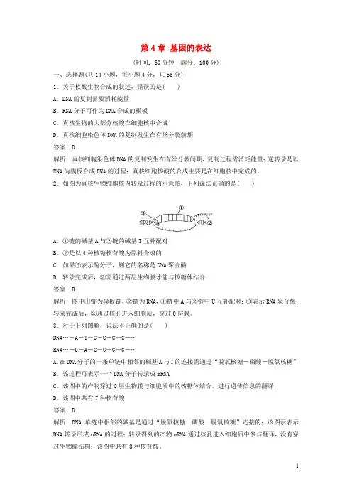 高中生物 第4章 基因的表达章末过关检测 新人教版必修2