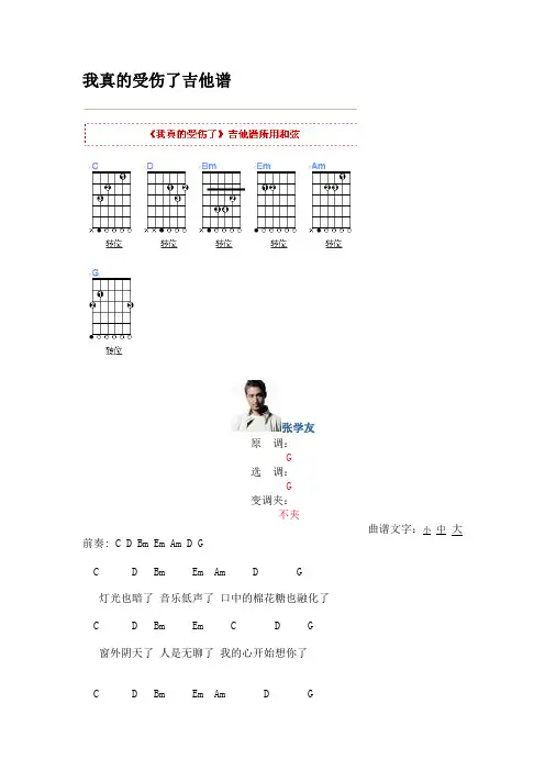我真的受伤了吉他谱