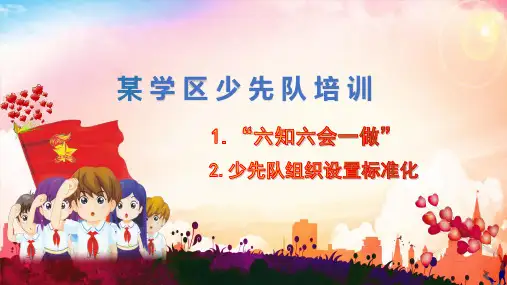 少先队辅导员培训资料