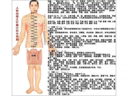人体穴位作用图解及保健按摩