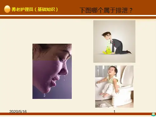 养老护理员培训排泄ppt课件