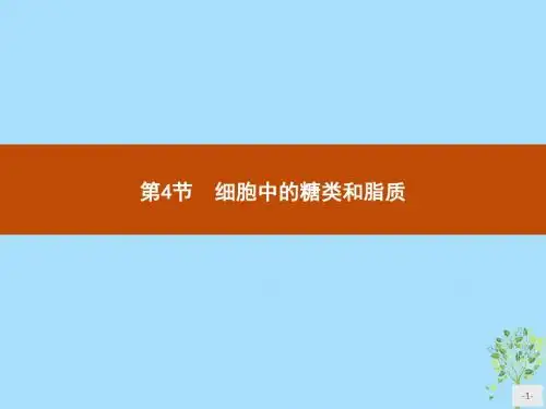 高中人教版生物必修1课件2.4 细胞中的糖类和脂质