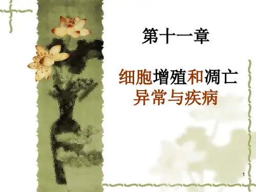 细胞增殖和凋亡异常与疾病精品PPT课件