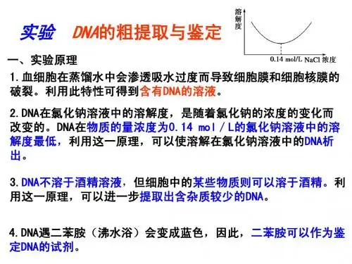实验 DNA的粗提取与鉴定
