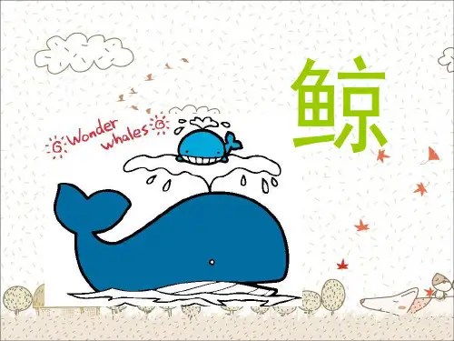 9鲸公开课精品PPT课件