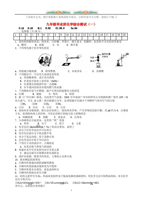人教版九年级化学下册中考模拟综合测试一及答案.doc