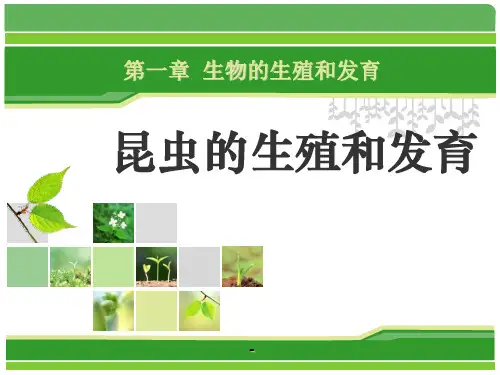 第二节_昆虫的生殖和发育