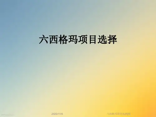 六西格玛项目选择[1]