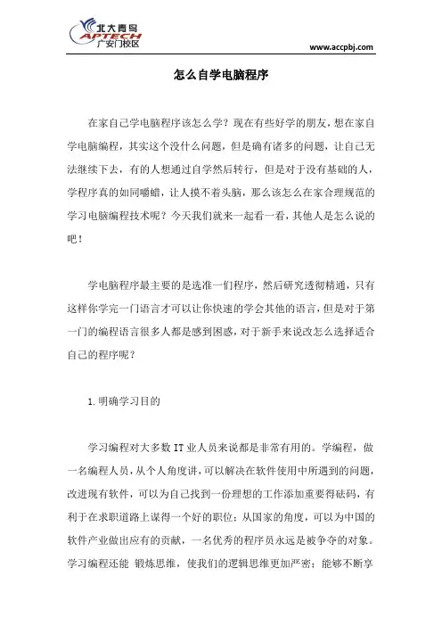 怎么自学电脑程序