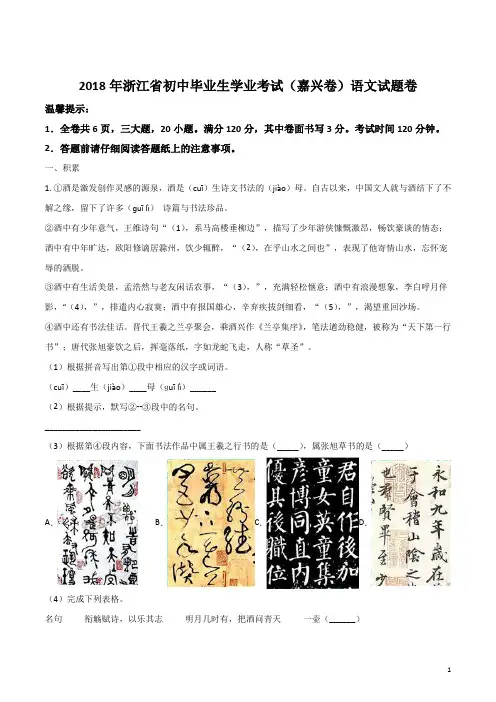浙江省嘉兴市2018年中考语文试题