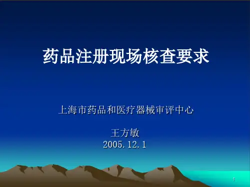药品注册现场核查要求(1)