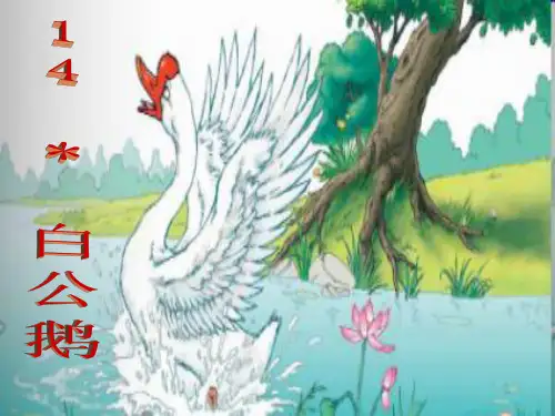 四年级语文14.白公鹅-PPT课件
