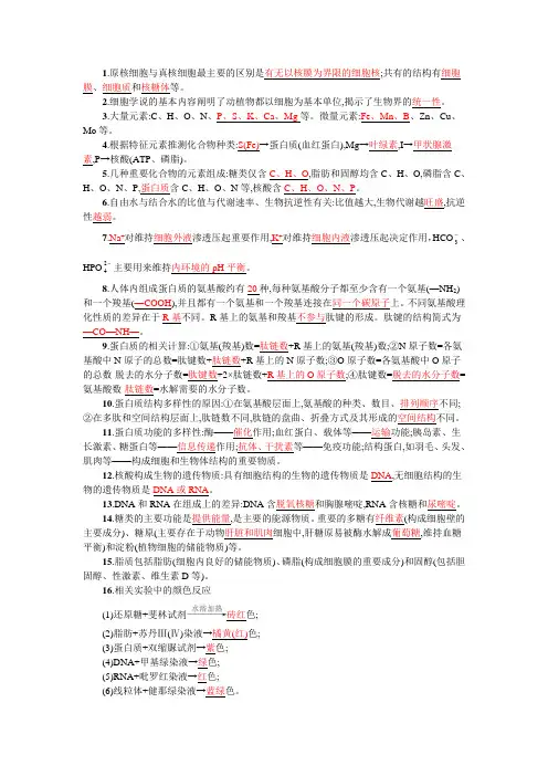 知识点汇总