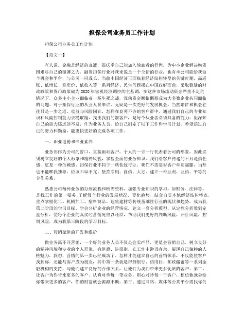 担保公司业务员工作计划