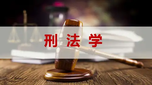 刑法学(第六章)