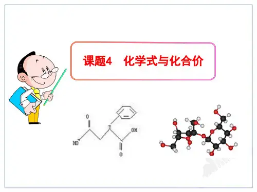 人教版九年级上册化学式与化合价课件