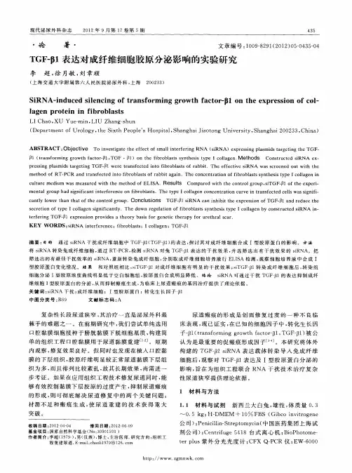 TGF—β1表达对成纤维细胞胶原分泌影响的实验研究