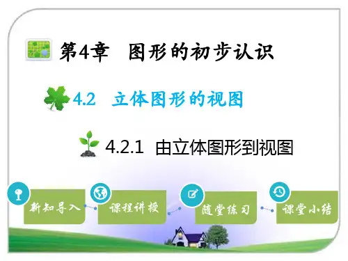 华师版七年级数学上册 4.2.1  由立体图形到视图