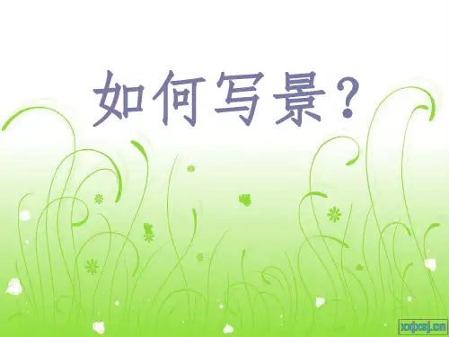 四年级上第一单元作文