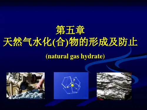 天然气水合物1