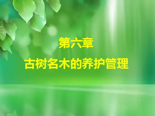 第六章 古树名木的养护管理PPT课件