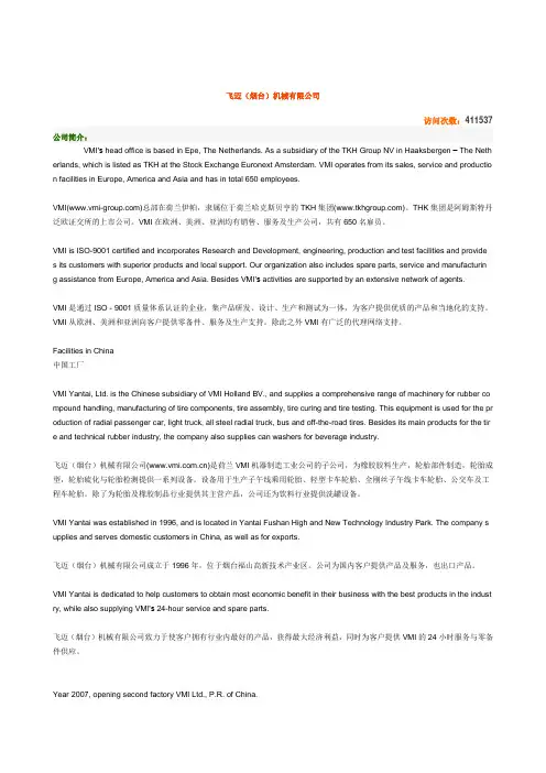 飞迈
