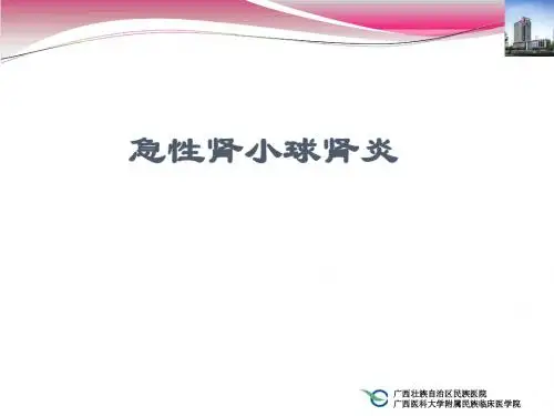 急性肾小球肾炎