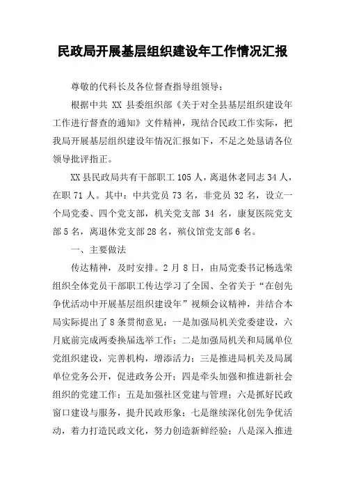 民政局开展基层组织建设年工作情况汇报