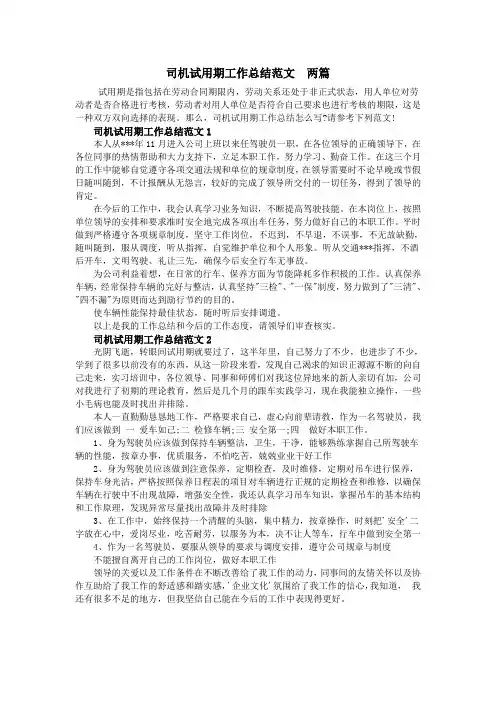 司机试用期工作总结范文  两篇