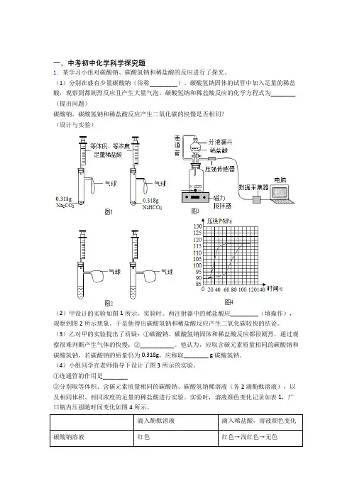 中考化学探究题的综合复习附答案