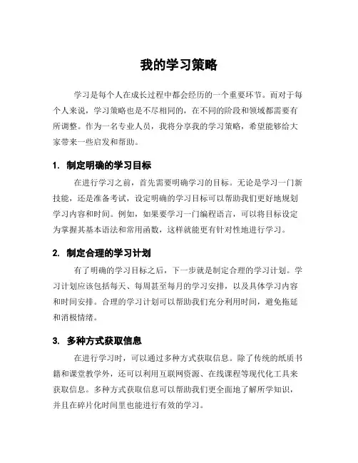 我的学习策略
