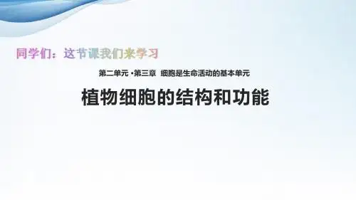 初中七年级生物上册教学课件《植物细胞的结构和功能》(苏教)