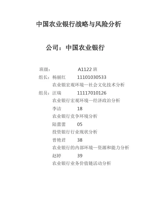 农业银行战略与风险分析