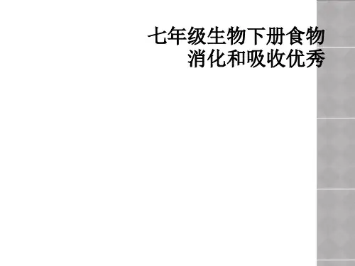 七年级生物下册食物消化和吸收优秀
