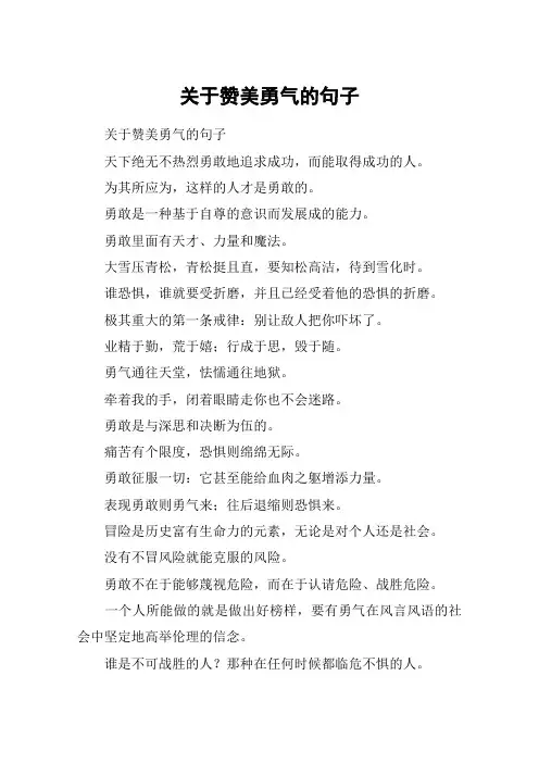 关于赞美勇气的句子