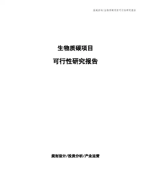 生物质碳项目可行性研究报告