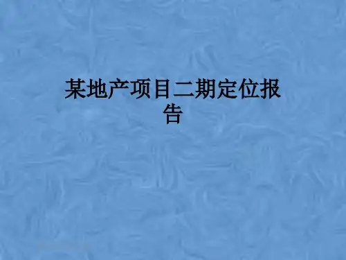 某地产项目二期定位报告