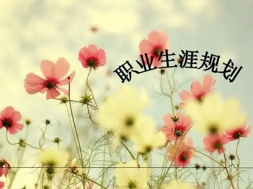 职业生涯规划PPT