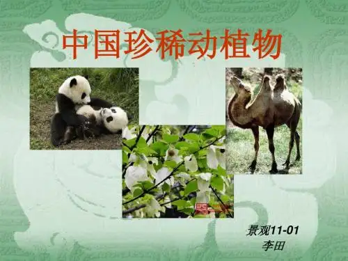 动植物介绍