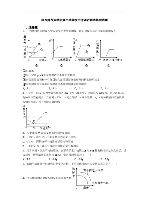 陕西师范大学附属中学分校中考调研测试化学试题