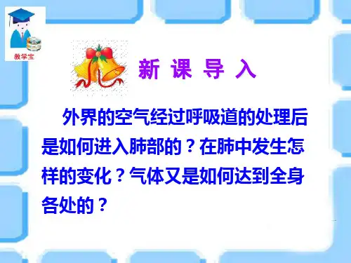 七年级生物下册第二节  发生在肺内的气体交换