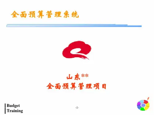 企业全面预算管理系统的介绍精品